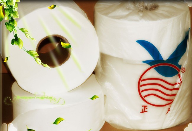 供應正應大卷紙