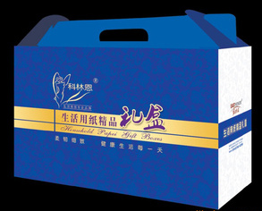 各種衛生紙卷紙，衛生紙盤紙，擦手紙，等生活用紙