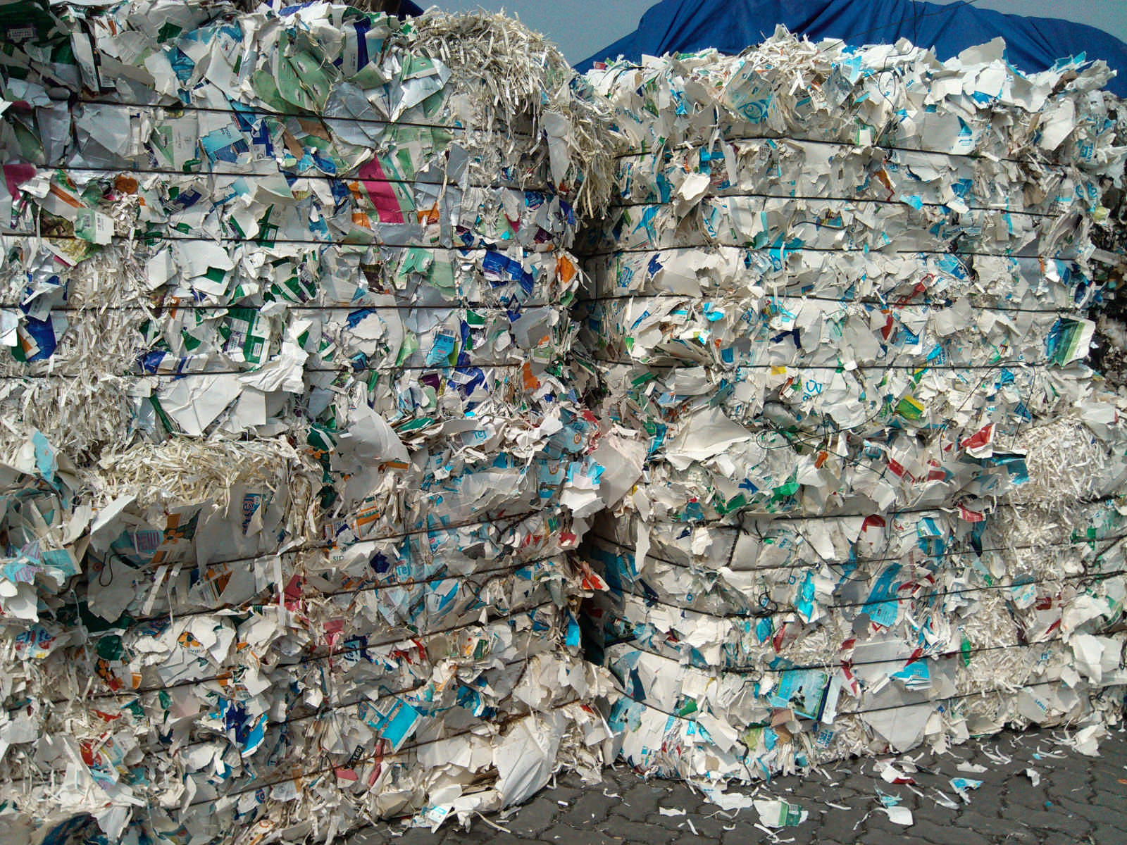 白心牛奶盒供應