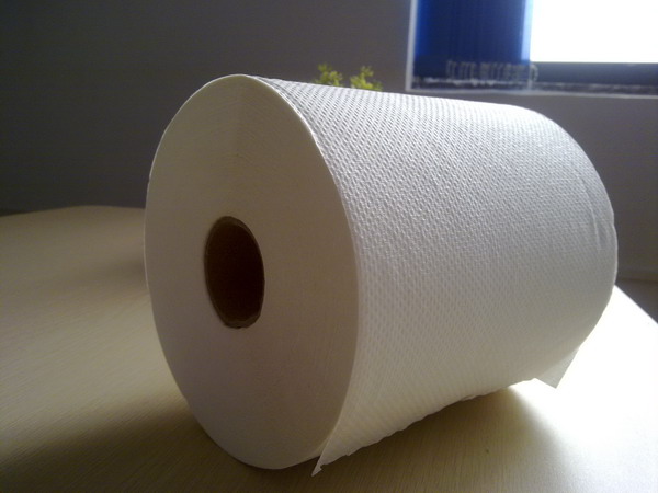 供應(yīng)卷筒式擦手紙、大卷紙