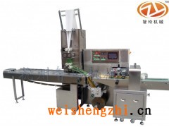 杭州ZL-D100A多功能單片濕巾包裝機(jī)