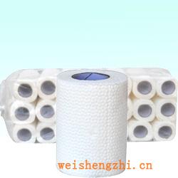 衛生紙|生活用紙|保定衛生紙廠|大壓花紙-003