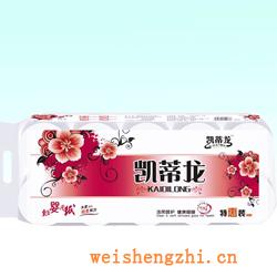 衛生紙|生活用紙|保定衛生紙廠|凱蒂龍-027