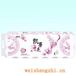 衛(wèi)生紙|生活用紙|保定衛(wèi)生紙廠|凱蒂龍-021-短卷