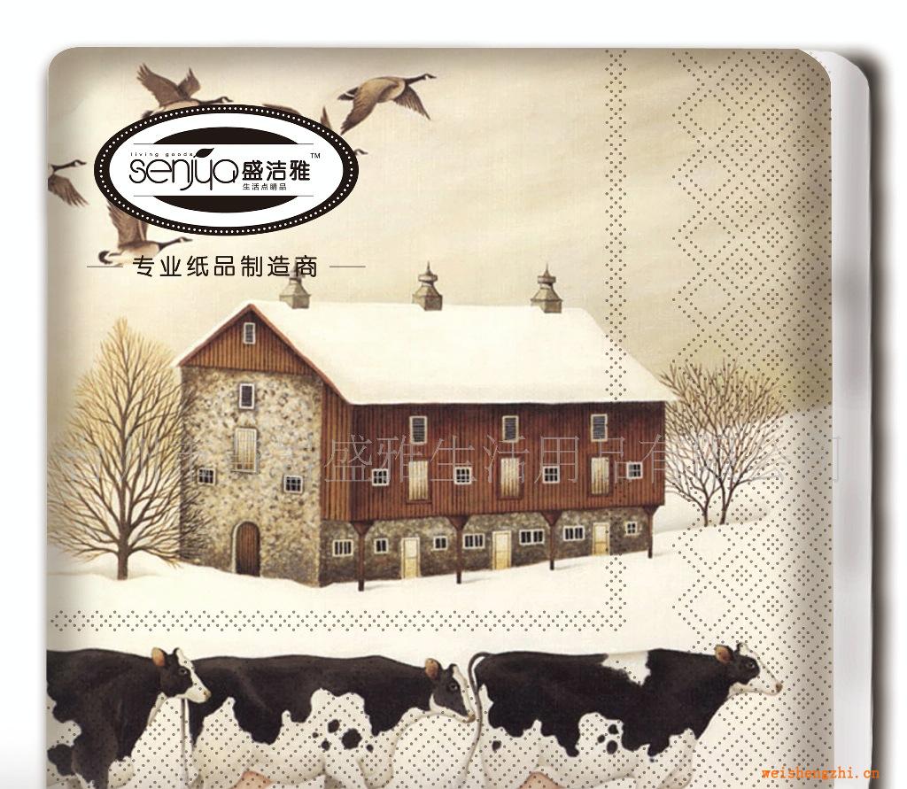 廠家直供供應印花餐巾紙，彩色餐巾紙