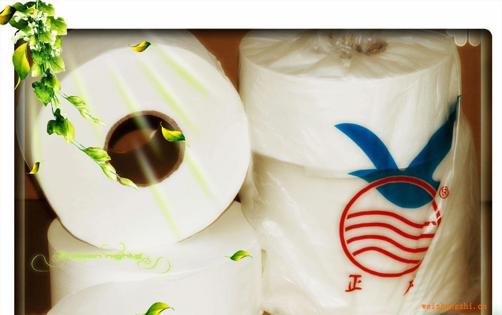 正應優質ZY1850A雙層精品大卷紙