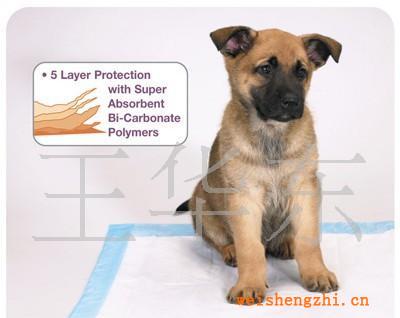 處理全新寵物墊、寵物墊、寵物護理墊、一次性寵物清潔墊