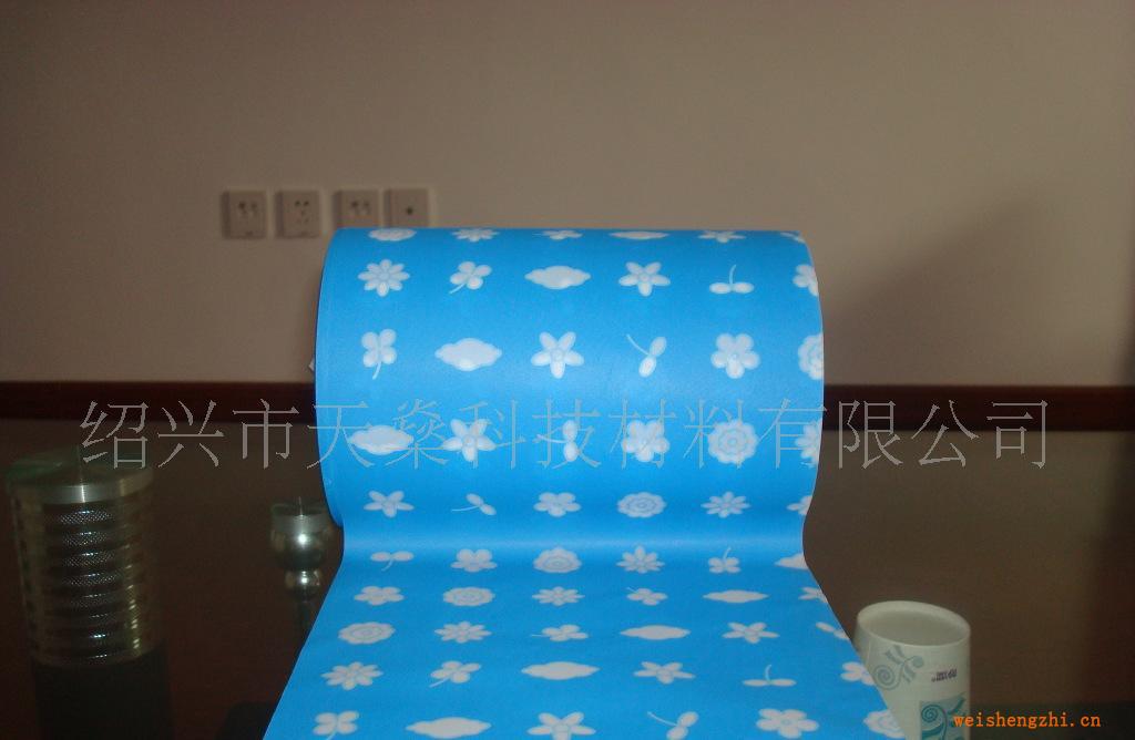 供應(yīng)PE流延膜壓紋薄膜薄膜