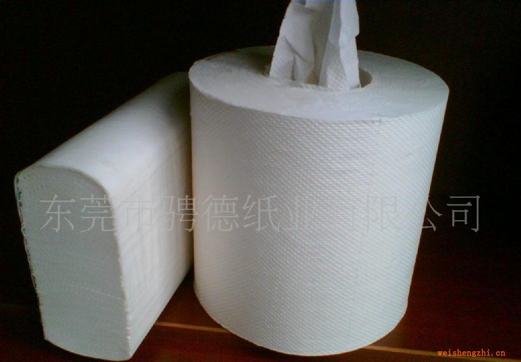 廠家供應(yīng)中間抽取式擦手紙、擦手紙、衛(wèi)生紙、紙制品、紙巾