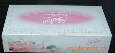 江門紙廠專業定做廣告盒裝紙巾方便面抽紙巾方盒紙巾價格優惠
