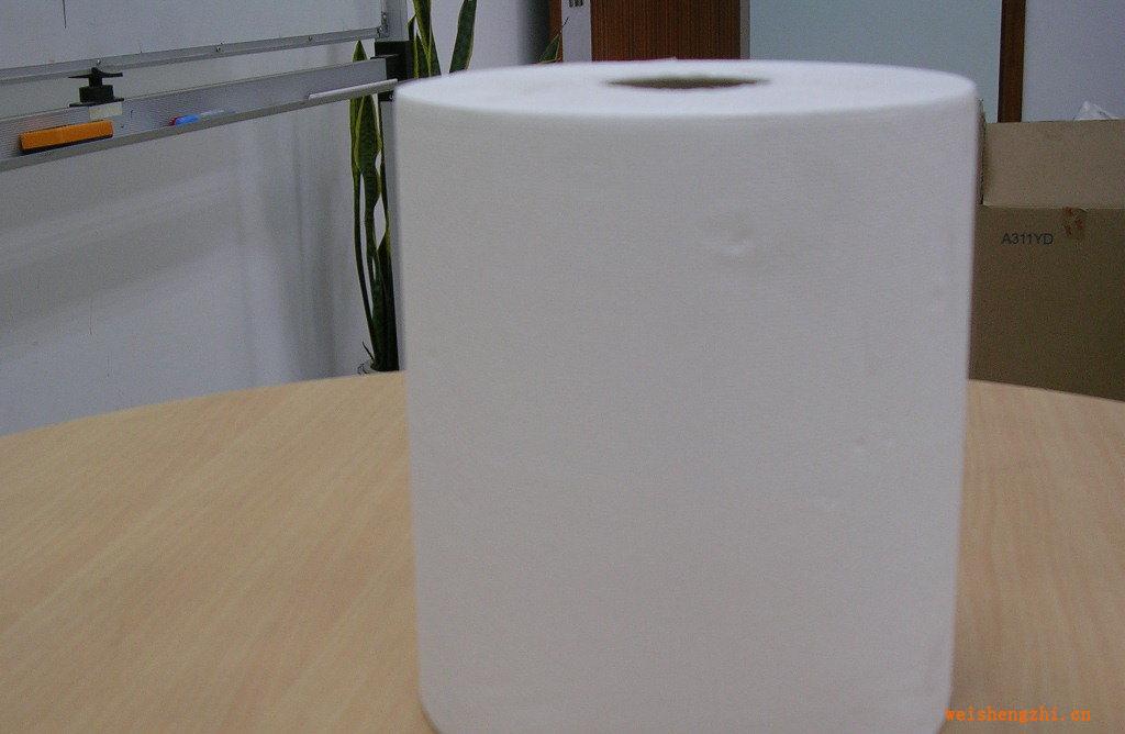 大量生產(chǎn)優(yōu)質(zhì)衛(wèi)生紙衛(wèi)生紙（實(shí)物參照）