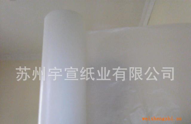 生產加工60克優(yōu)質醫(yī)用淋膜紙