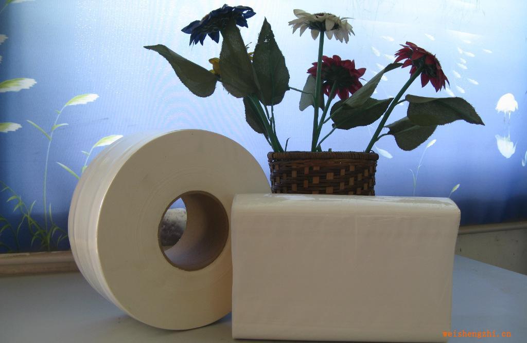 恒業擦手紙、大衛紙