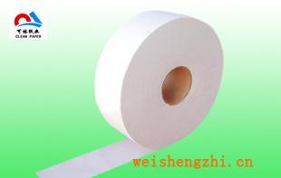大卷紙/大卷擦手紙/小卷衛生紙/餐巾紙