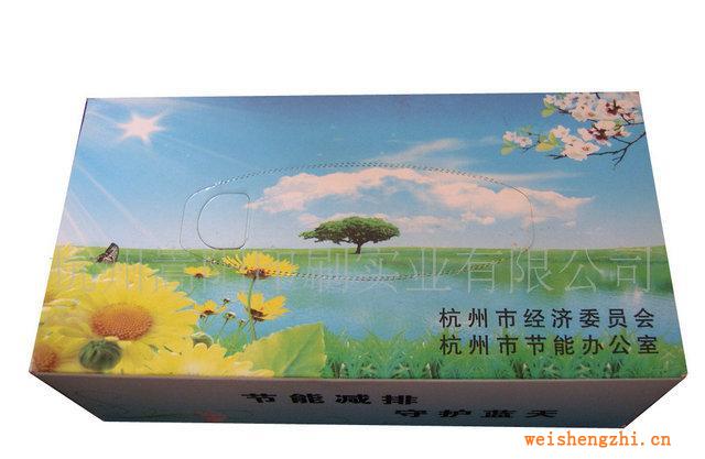 杭州嵩陽大量供應(yīng)車用紙巾盒紙巾