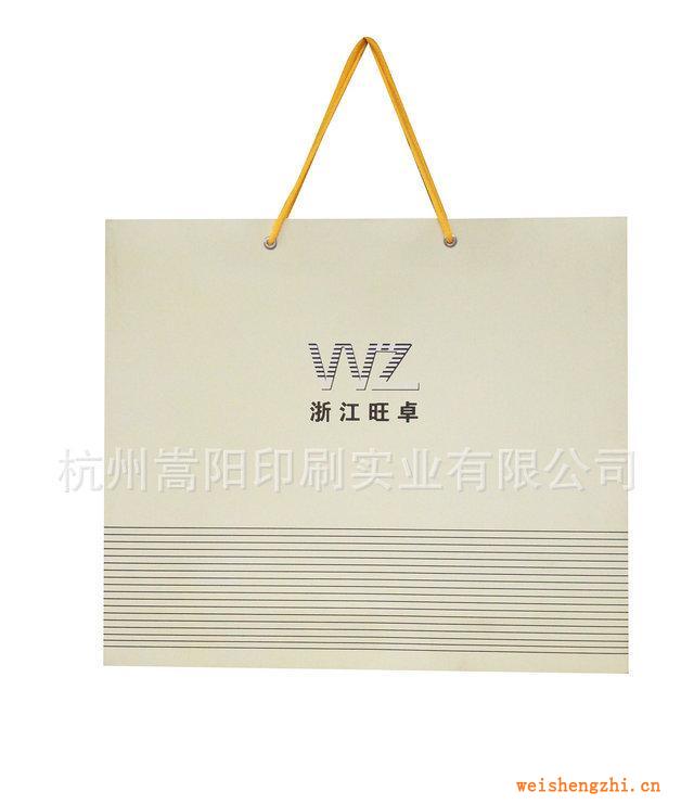 杭州嵩陽供應(yīng)紙類包裝容器禮品袋紙袋