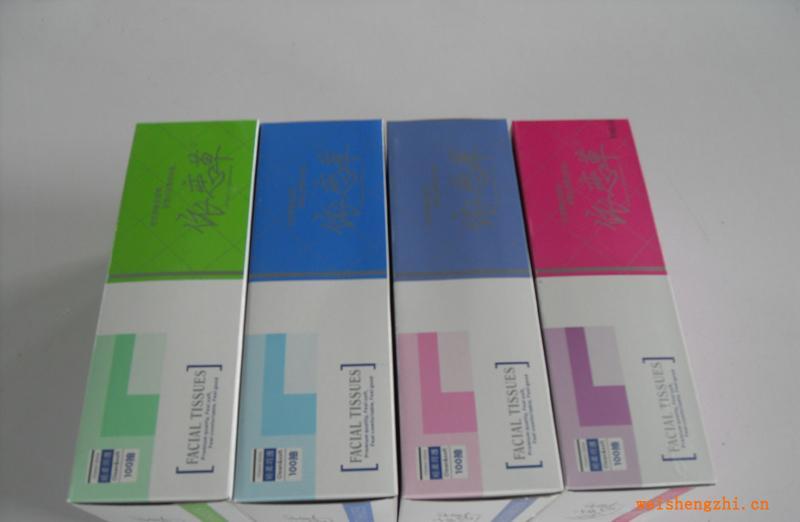 尋求大資金投資北部灣大項目