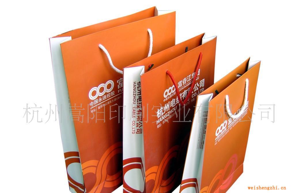 廠家直銷各式紙袋免費(fèi)提供設(shè)計(jì)