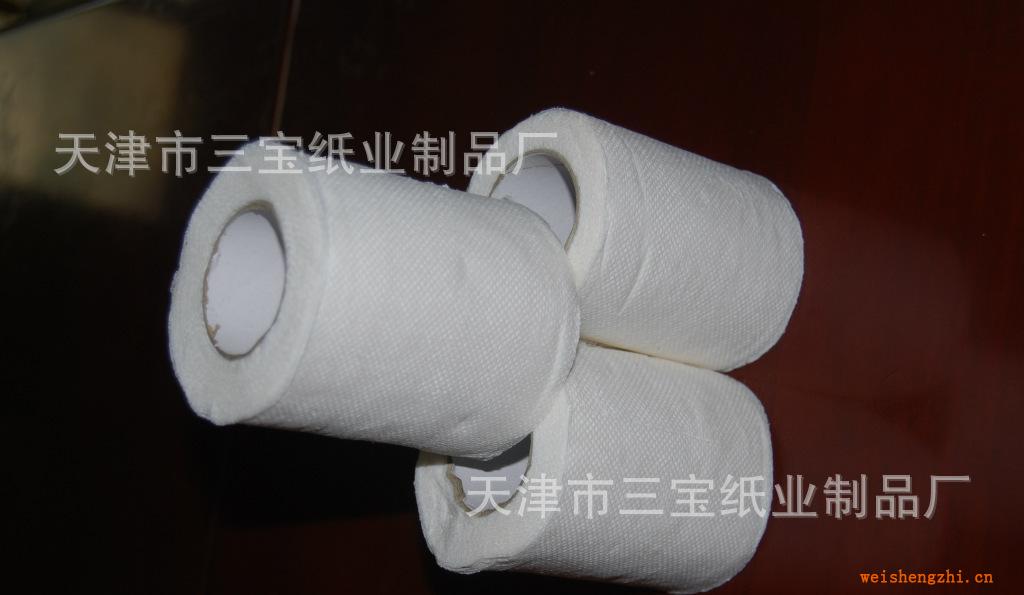 小卷紙/衛生紙/家庭用紙/賓館用紙/擦手紙/大盤紙/