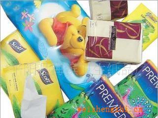 平陽海濱專業(yè)提供2片裝酒店濕巾無紡布