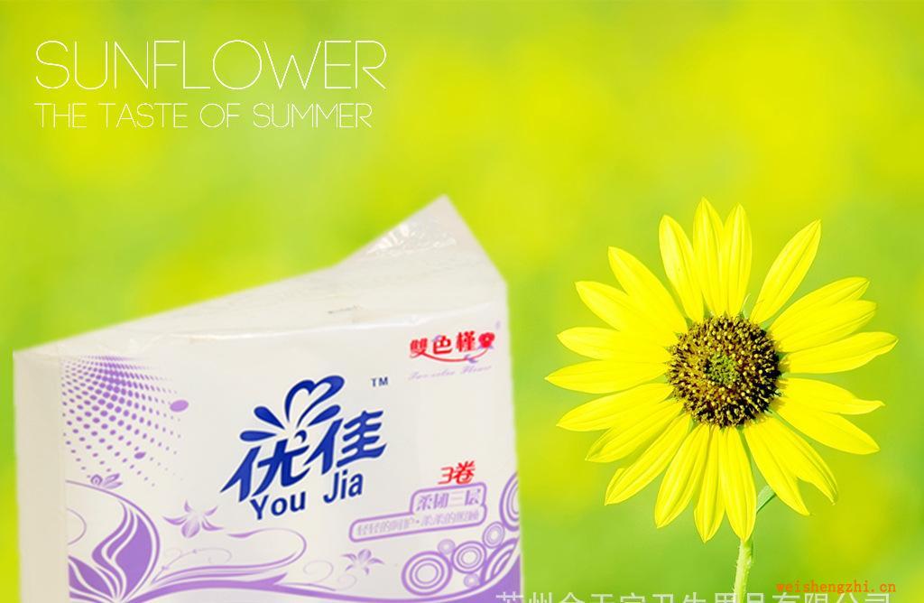 【優惠特賣】雙色槿卷紙系列100%純木漿優佳無芯卷紙（3卷）