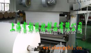 輪胎標簽底層背膠用牛皮材質白色單面離型紙，硅油紙廠家直銷