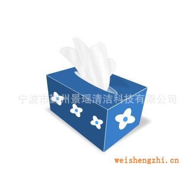 供應(yīng)【廠家批發(fā)】專業(yè)生產(chǎn)供應(yīng)高質(zhì)量衛(wèi)生紙價格實惠