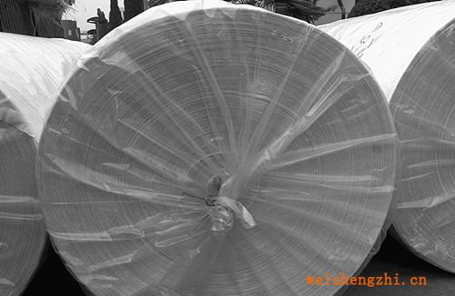 【廠家直銷】草漿單層開片衛(wèi)生紙衛(wèi)生紙大軸紙