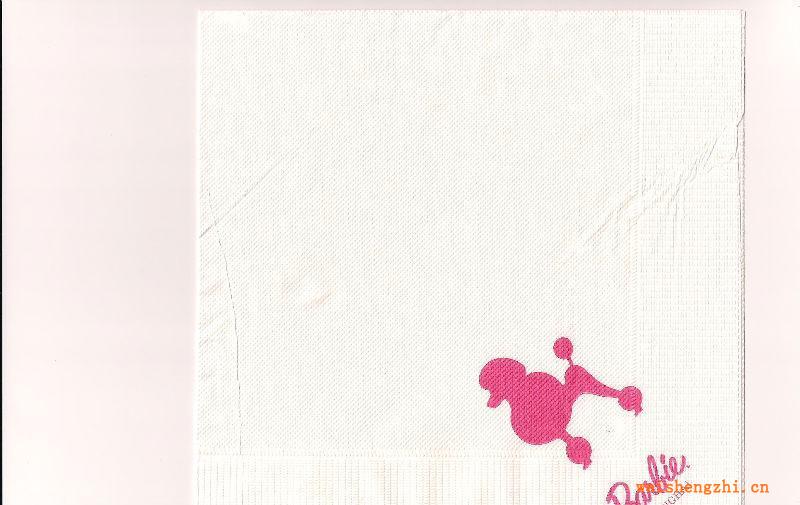 荷韻印花餐巾紙彩色餐巾紙彩印餐巾紙批發(fā)征地區(qū)代理