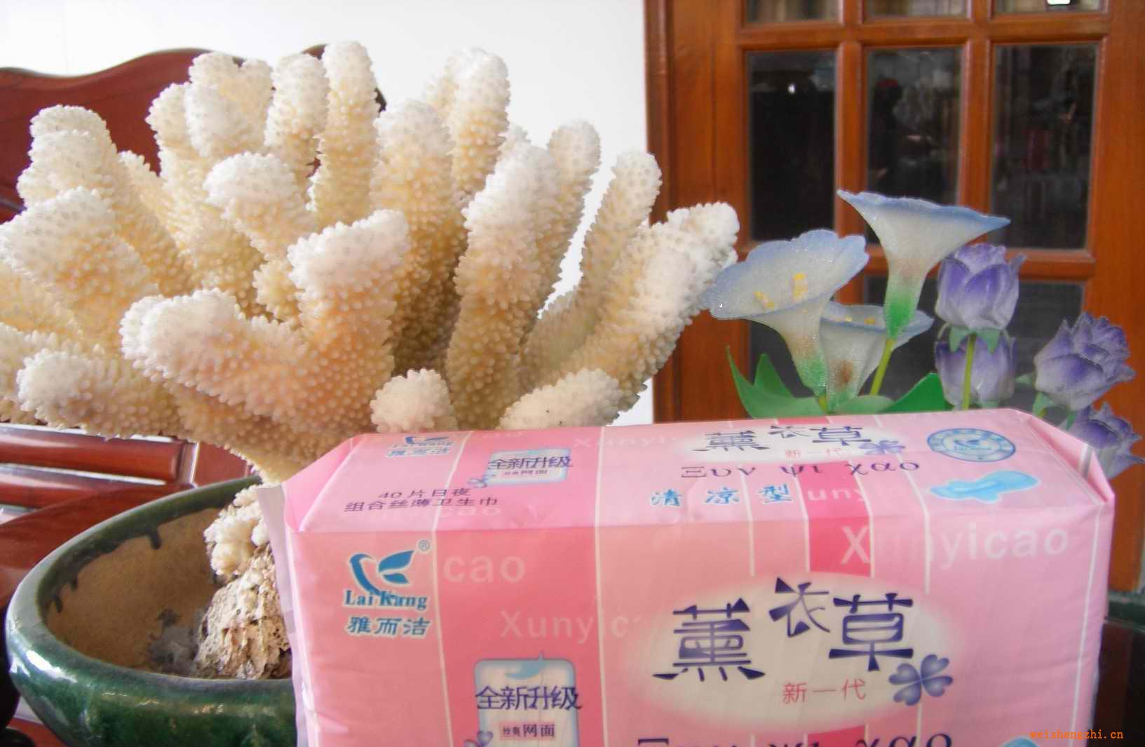 誠招衛生巾區域代理