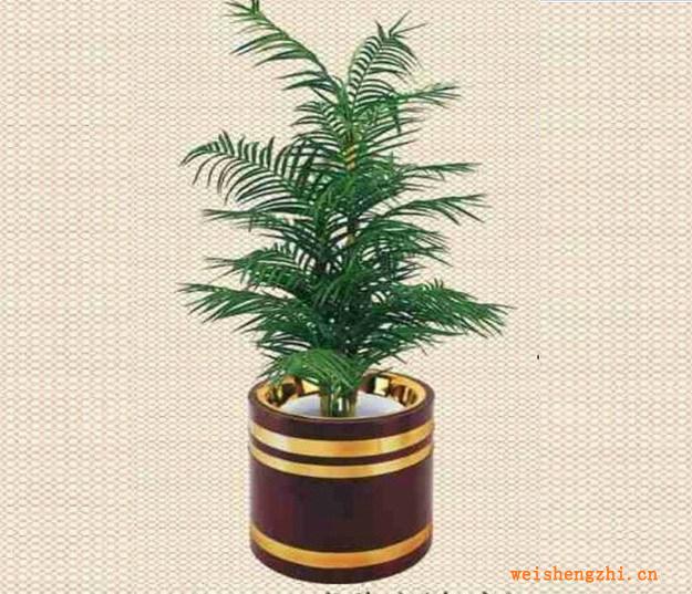 大堂花盆系列產品（可選擇多種產品）：日式花盆