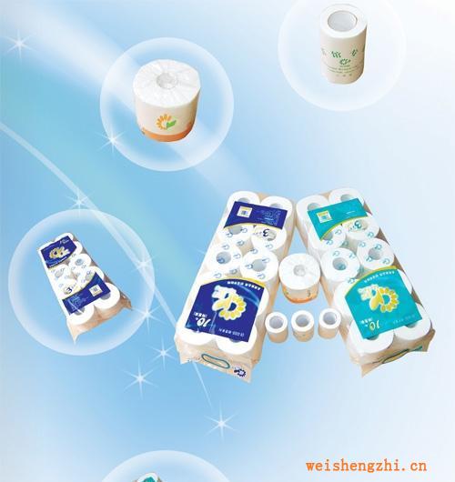 供應(yīng)，銷售優(yōu)質(zhì)原生漿衛(wèi)生卷紙紙