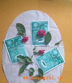 供應(yīng)一次性馬桶坐墊防菌隔冷坐廁紙/及誠招國內(nèi)代理商