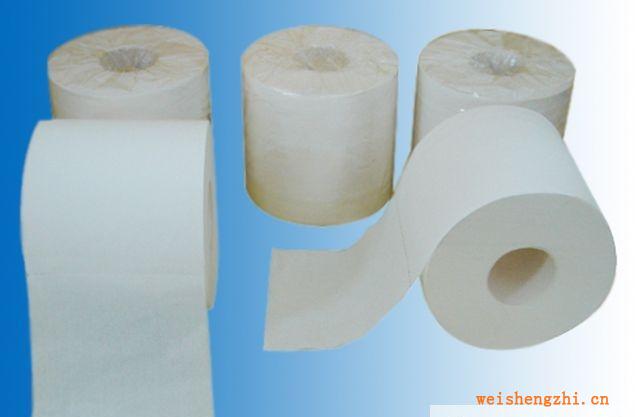 實惠木漿再生漿小卷筒衛生紙價廉物美生活用紙廁所紙