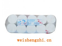 供應(yīng)山東菏澤衛(wèi)生紙廠家--雪兒品牌衛(wèi)生紙批發(fā)代理