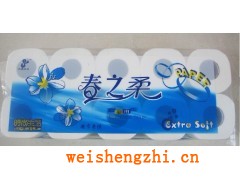 阜陽市星興紙業有限公司-廣西甘蔗漿衛生紙