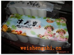 安徽星興紙業有限公司|安徽衛生紙廠家|安徽紙廠|甘蔗漿大軸