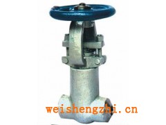 國標(biāo)電站閘閥Z60Y-16C