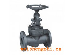 銷售高壓鍛鋼截止閥J41H-25C