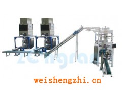 安徽種子包裝機(jī)，亳州蔬菜、水果植物種子包裝機(jī)