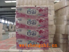 衛生紙|面巾紙|抽紙|手帕紙|小盤紙|大盤紙|杠紙|木漿大軸