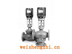 進口電動調節閥