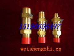 A22F-50T冷媒安全閥