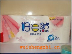 聊城家合紙業|山東衛生紙加工廠|聊城衛生紙廠家|好自然紙