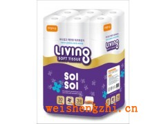 韓國(guó)進(jìn)口 家庭用紙 living 木之惠