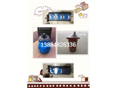 廠家直銷山東裝載機齒輪油泵_裝載機齒輪油泵專賣店