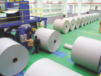 今年上半年我國造紙行業發展勢頭趨好