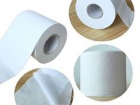 江西省生活用紙專業(yè)委員會成立并揭牌