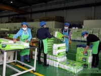 云景林紙年產6萬噸生活用紙擴建項目通過專家評審