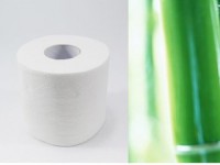 2018年四川江門20萬噸竹漿項(xiàng)目將建成